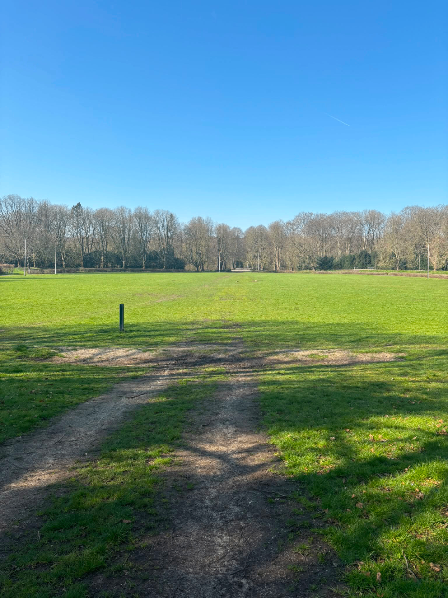 Amsterdamse Bos vanuit de lucht